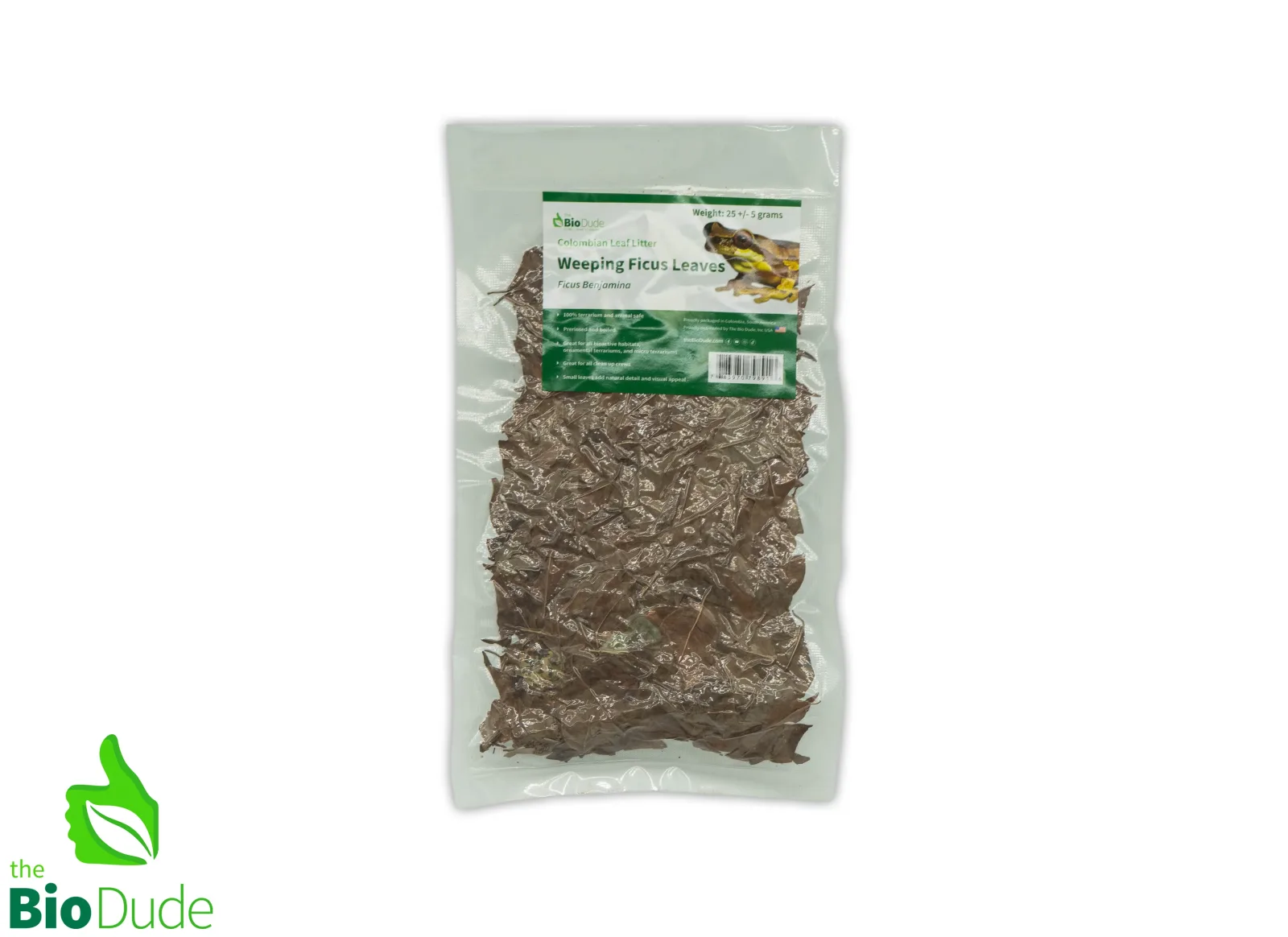 Colombian Leaf Litter - Weeping Ficus Leaves - 40 +/- grams - Image 2