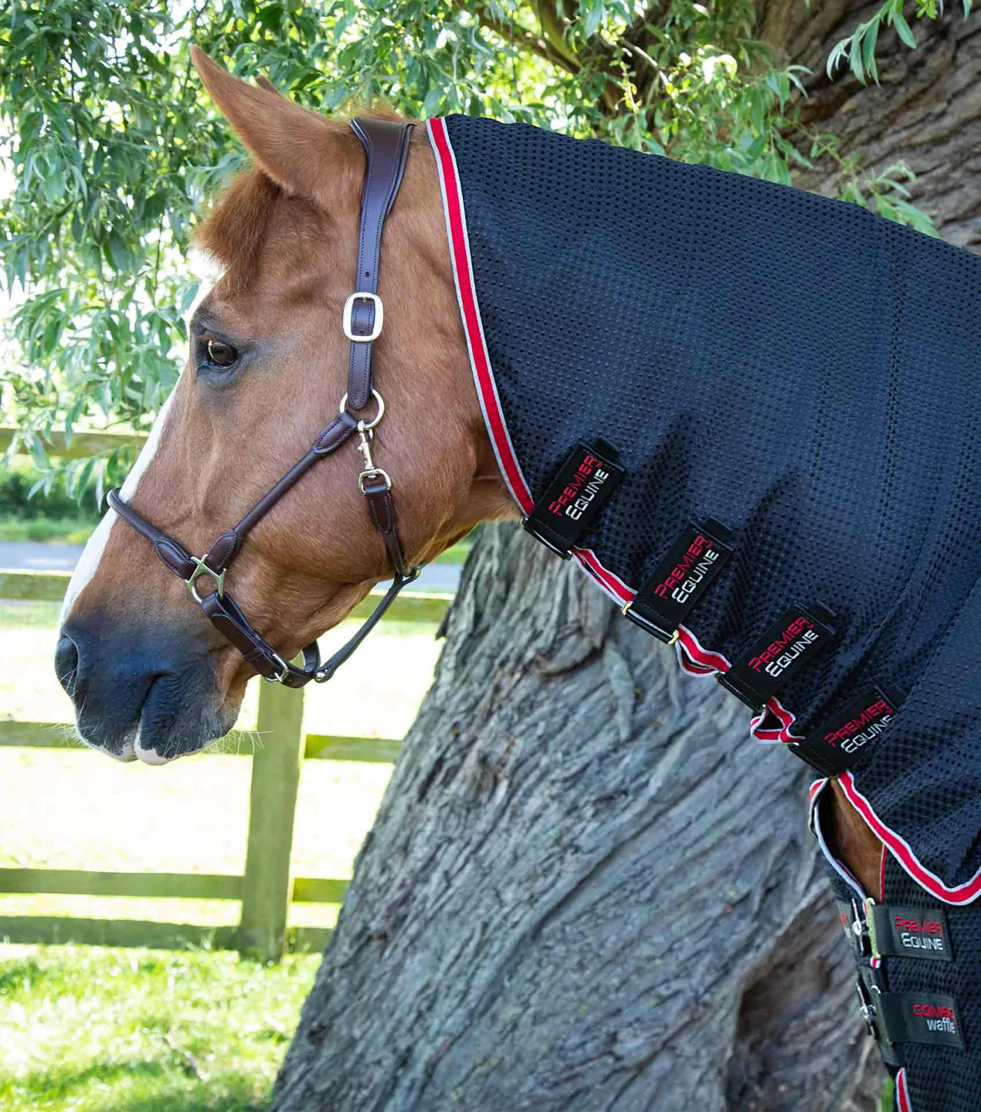 Combo Buster Waffle Horse Cooler Rug Black - Image 2