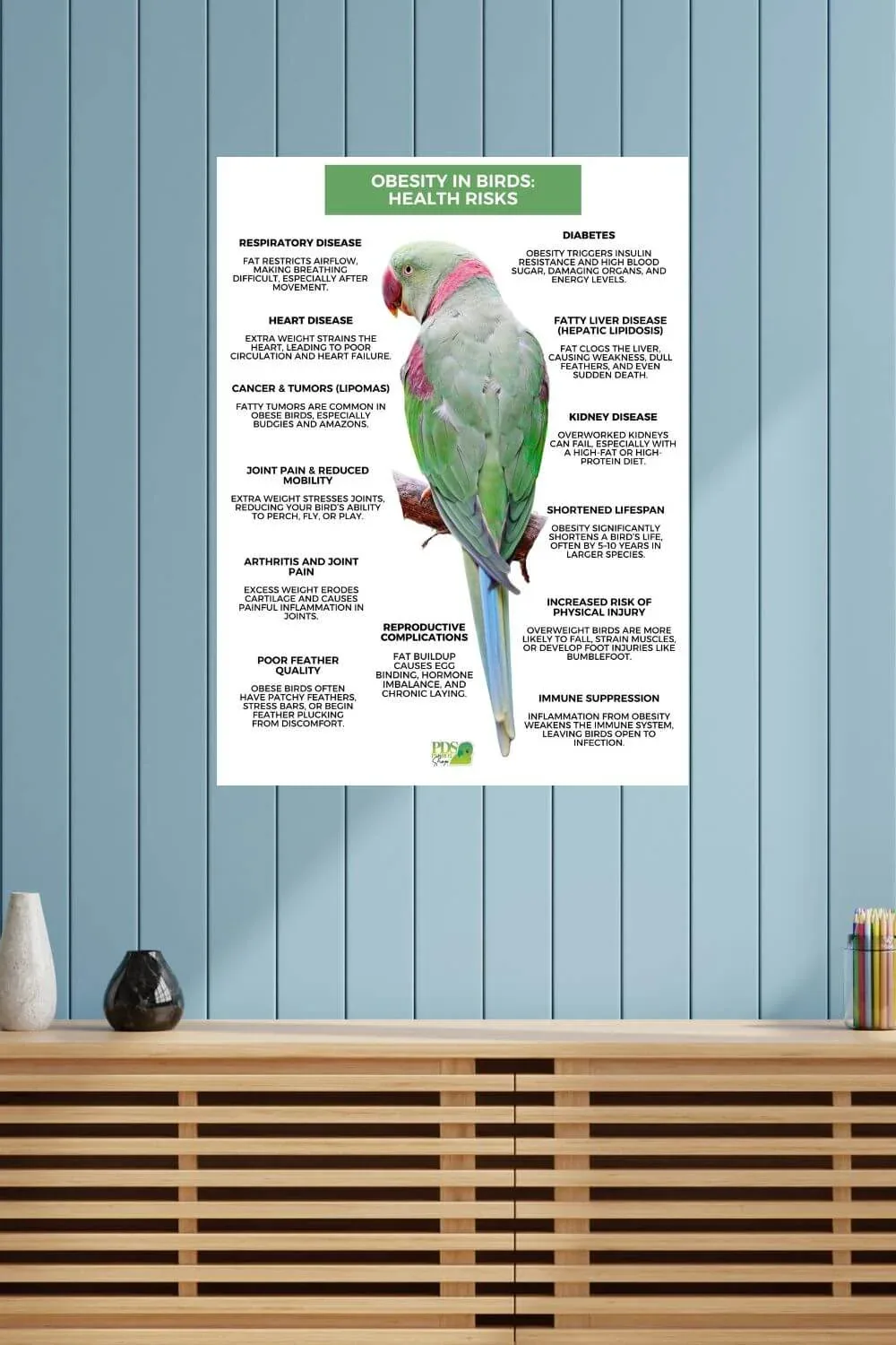 Common Health Problems In Birds Poster by Monika Sangar (PDF) - Image 2