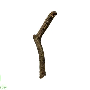 Cork Bark Branch