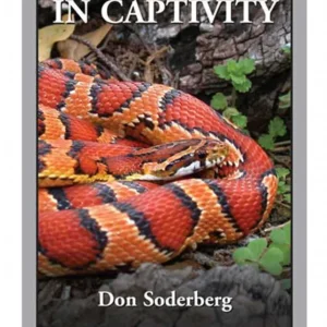 Corn Snakes in Captivity