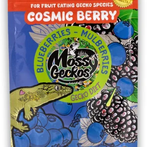 Cosmic Berry Gecko Diet