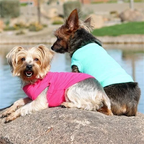 Cotton Dog Tank - Teal - Image 2