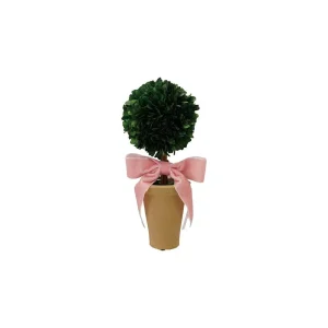 Creative Co-Op Dried Boxwood Tree In Terra Cotta Pot