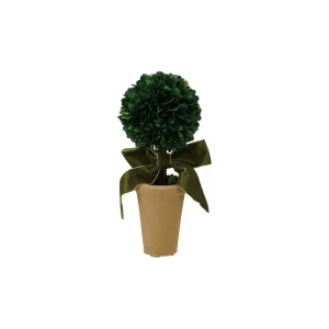 Creative Co-Op Dried Boxwood Tree with Green Velvet Bow