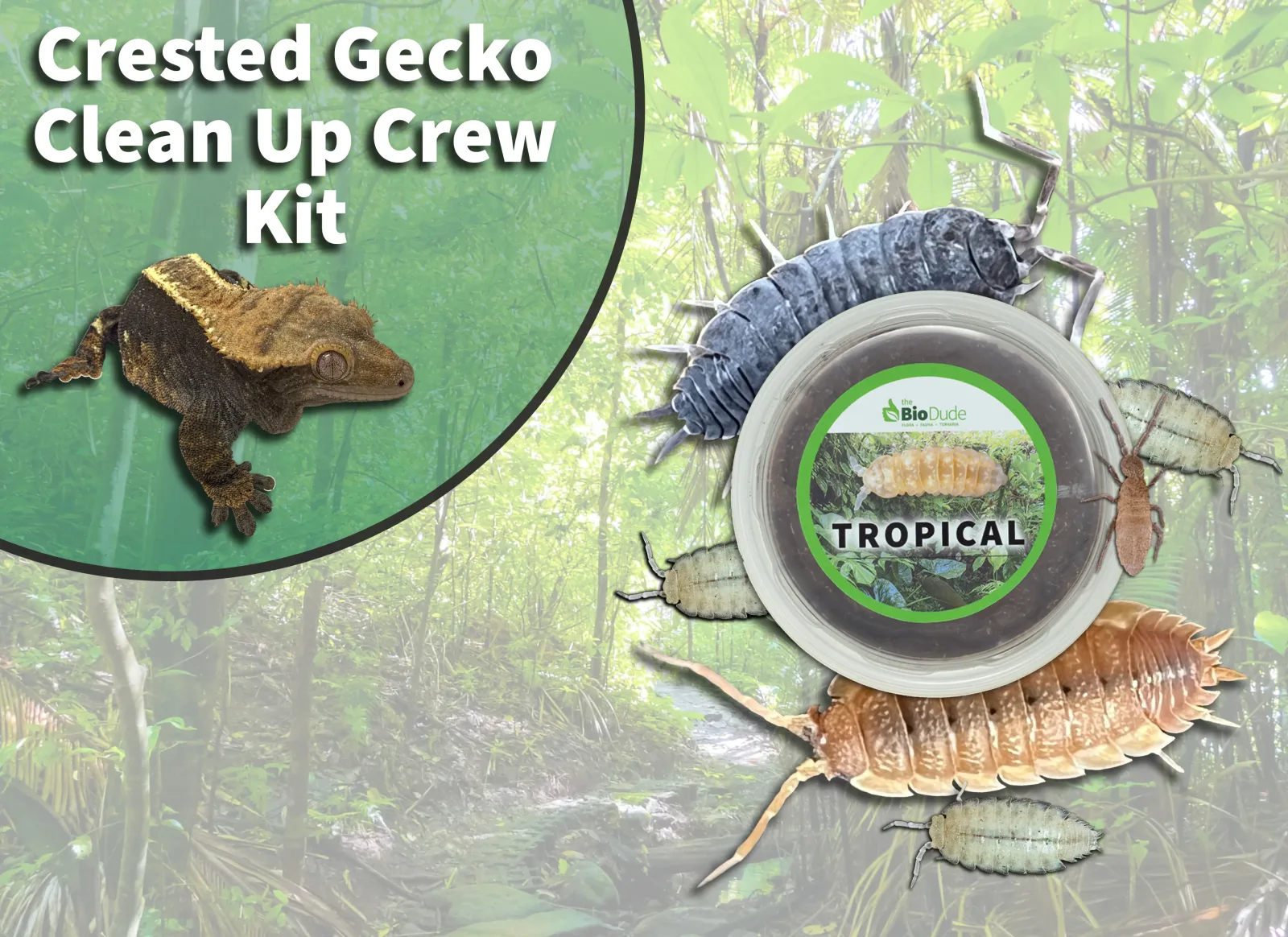 Crested Gecko Clean Up Crew Pack FREE SHIPPING