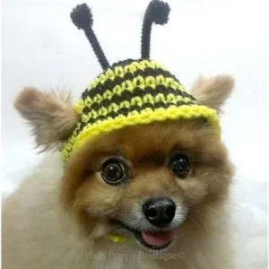 Crochet Bumble Bee Beanie Hat