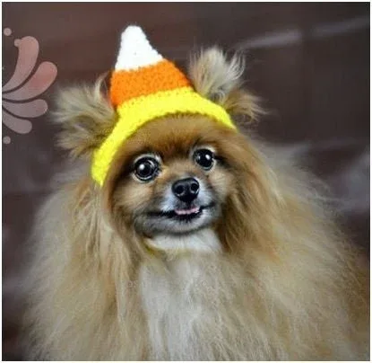 Crochet Candy Corn Beanie Hat - Image 2