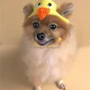 Crochet Chick Easter Beanie Hat