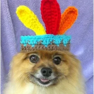 Crochet Indian Beanie Hat