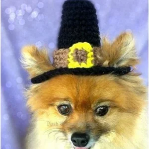 Crochet Pilgrim Beanie Hat