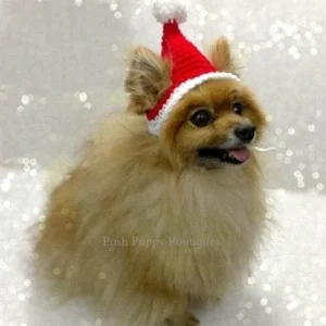 Crochet Santa Hat