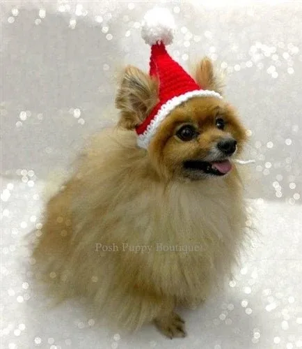 Crochet Santa Hat