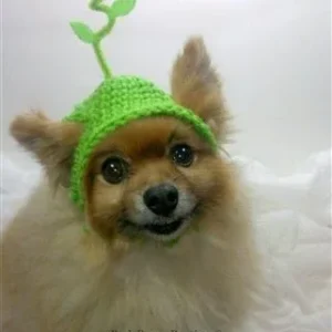 Crochet White Springtime Flower Beanie Hat in Many Colors