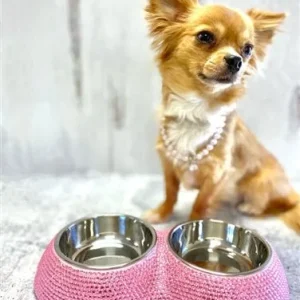 Crystal Dining Bowls in Pink