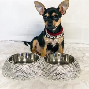 Crystal Dining Bowls in Silver
