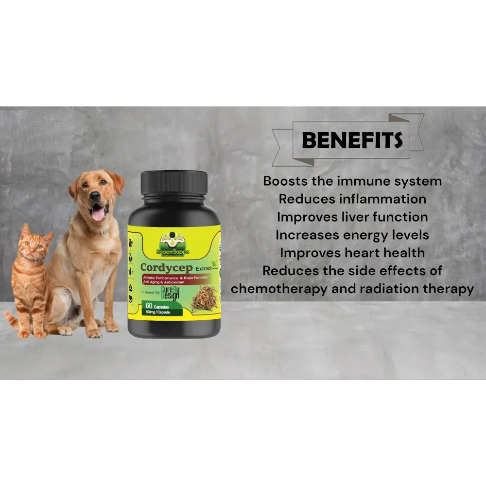 Cure By Design Cordycep Mushroom Capsules for Dogs and Cats - Image 2