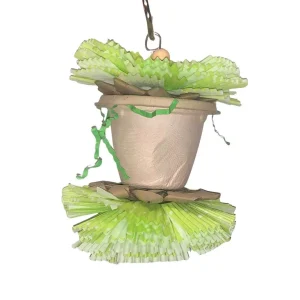 Curious Beak Bird Toy