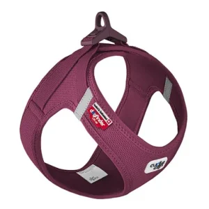Curli Clasp Air