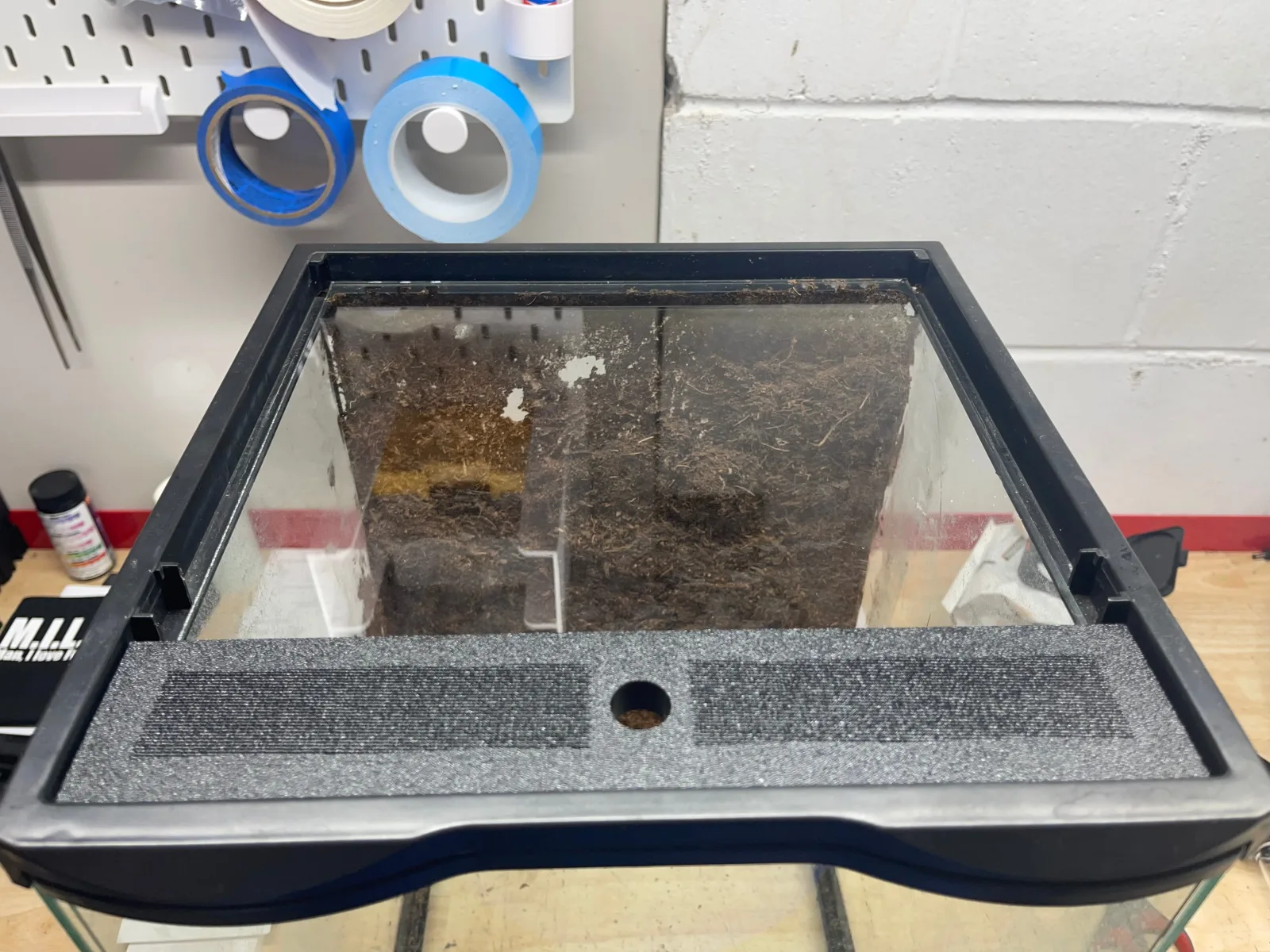 Custom Replacement Top for 12" Zoomed Terrariums – Humidity Retaining with Fly-Proof Ventilation - Image 2