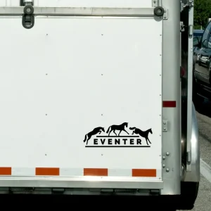Dapplebay Dressage Vinyl Decal