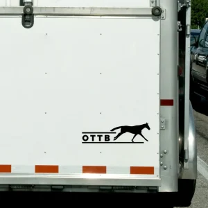 Dapplebay OTTB Vinyl Decal