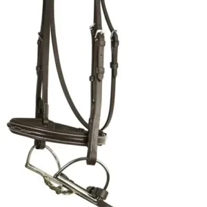 DaVinci Fancy Raised Pad Bridle/Rein