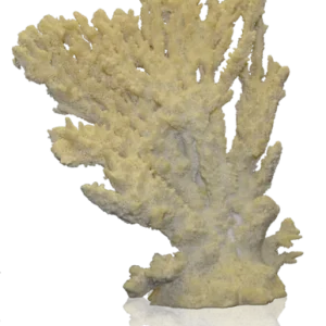 Deep Blue 7.5" Table Coral