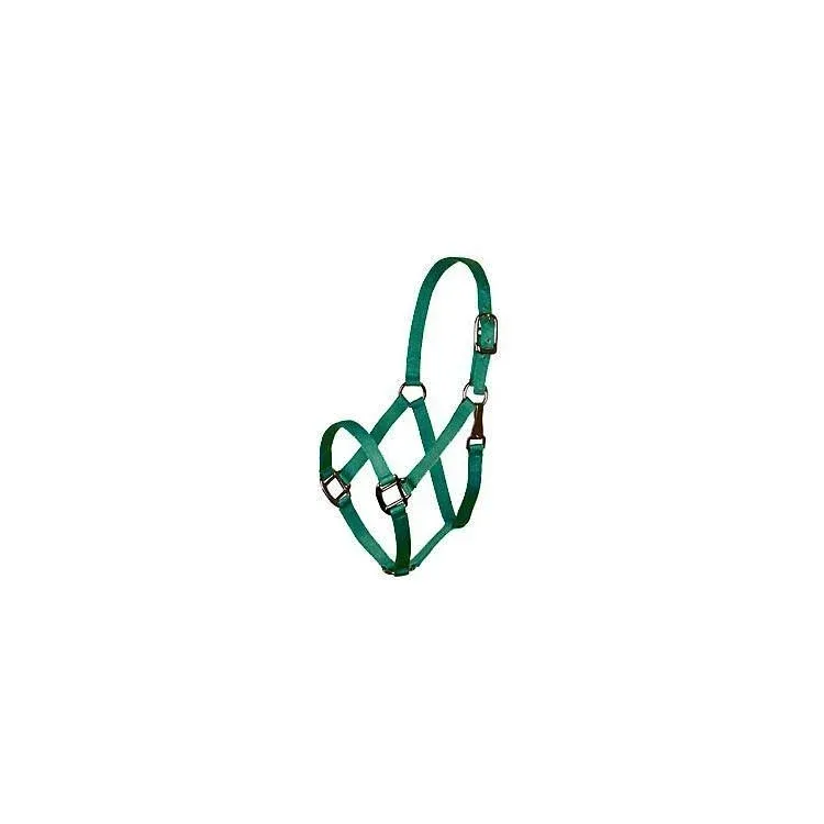 Deluxe 3-Ply Nylon Halter with Snap - Image 2