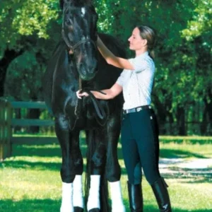 Devon-Aire Ladies All-Pro Ribbed Breech