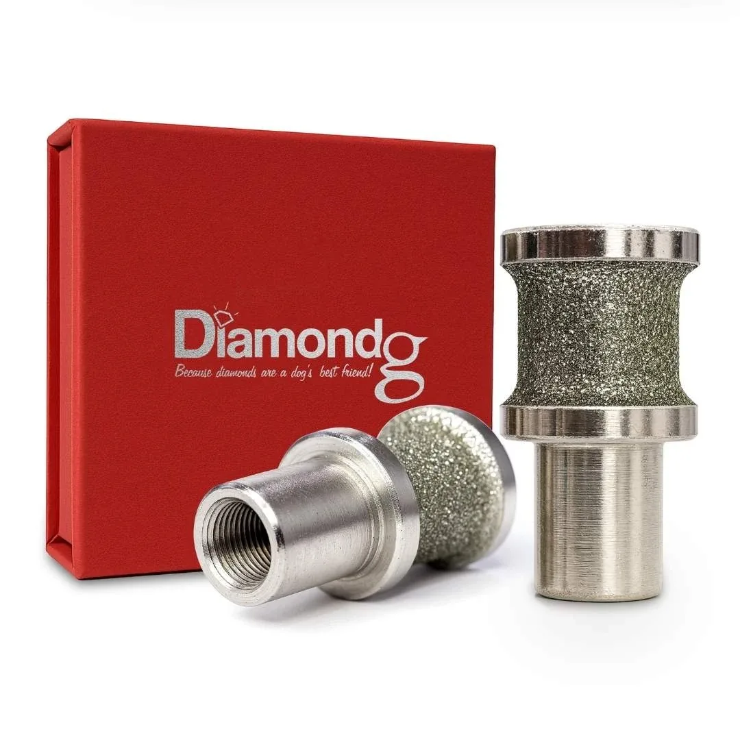 Diamondg Large Diamond Rotary Bit