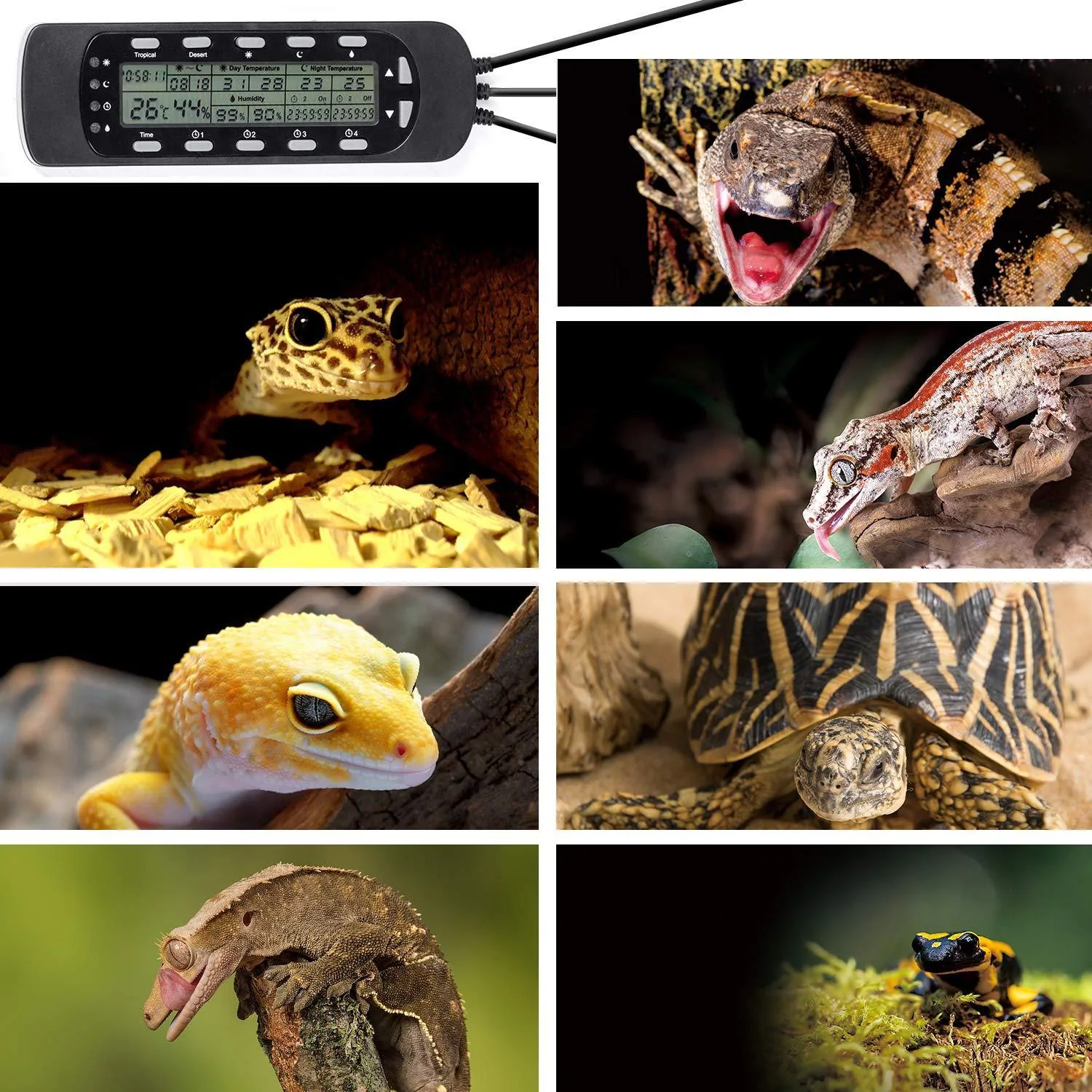 Digital Thermometer Hygrometer Temperature Controller for Reptile Tank, Waterproof Reptile Timer with Thermostat Controller Lighting - Image 2