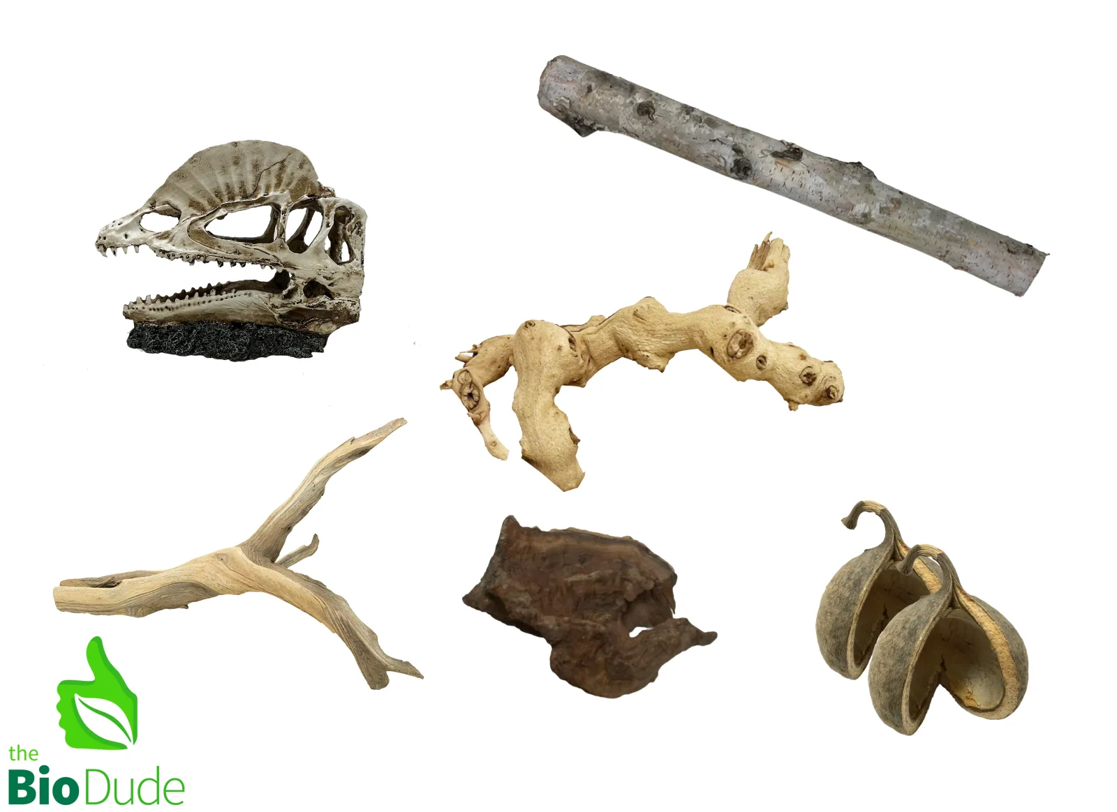 Dilophosaurus Decor Kit for Reptile Enclosures - Image 2