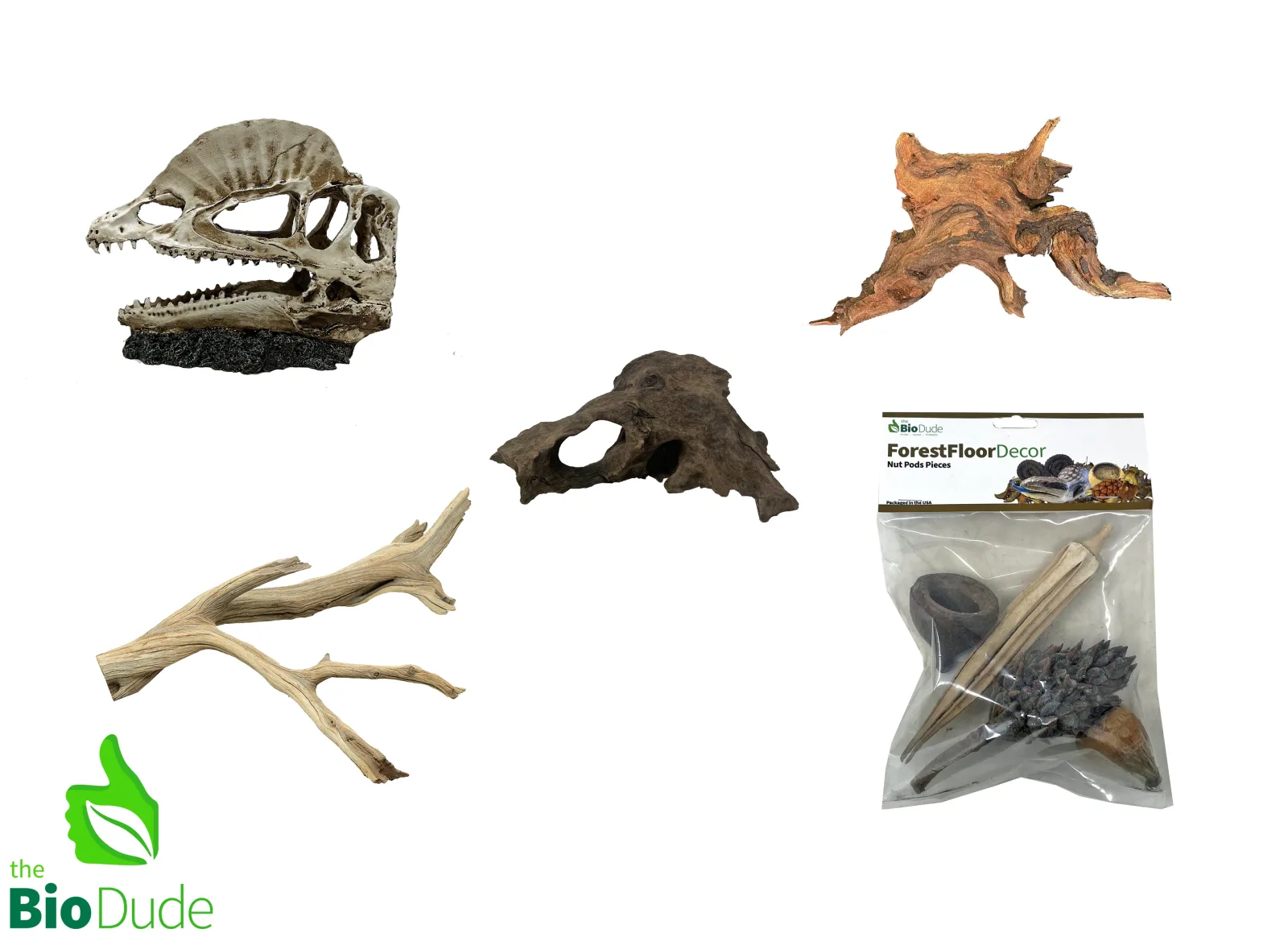 Dilophosaurus Decor Kit for Reptile Enclosures