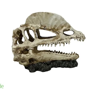 Dilophosaurus Dino Decor for Bioactive Terrariums