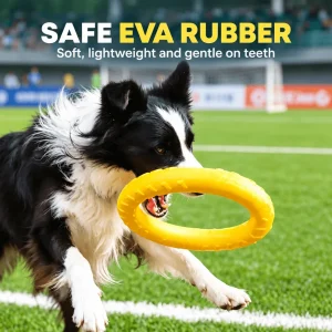 Dog Fetch & Tug Ring – Soft, Lightweight EVA Toy