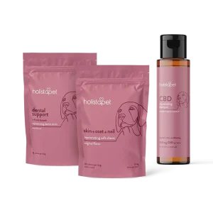"Doggy S'paw Day" Bundle