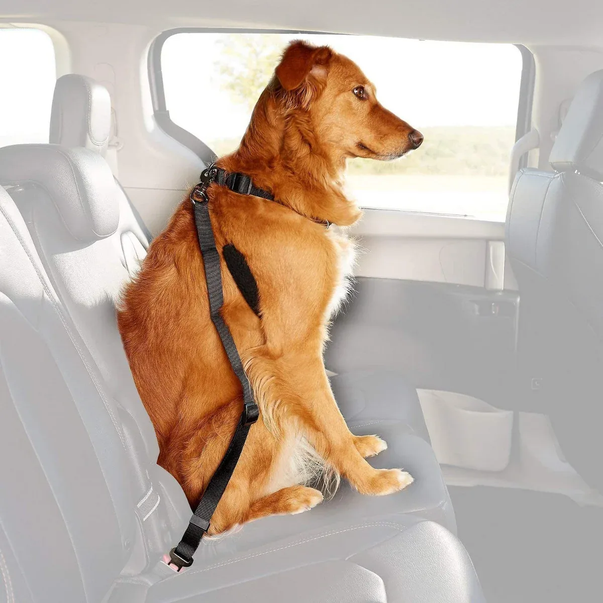 Dogit Car Safety Belt Universal Attachment - Image 2