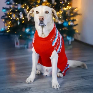 Dogobow Aztec Knit Sweater for Dogs and Cats (Red) (Get a Bow Free)