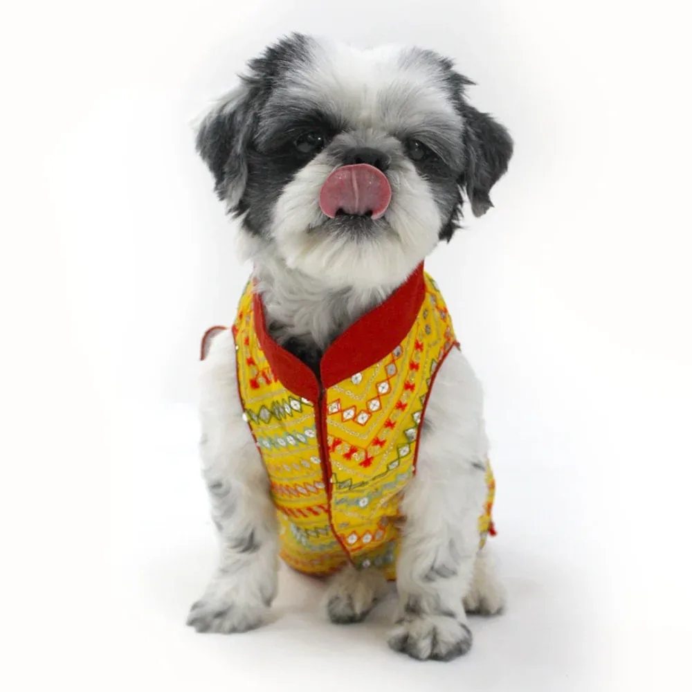 Dogobow Embroidered Sherwani for Dogs (Yellow)
