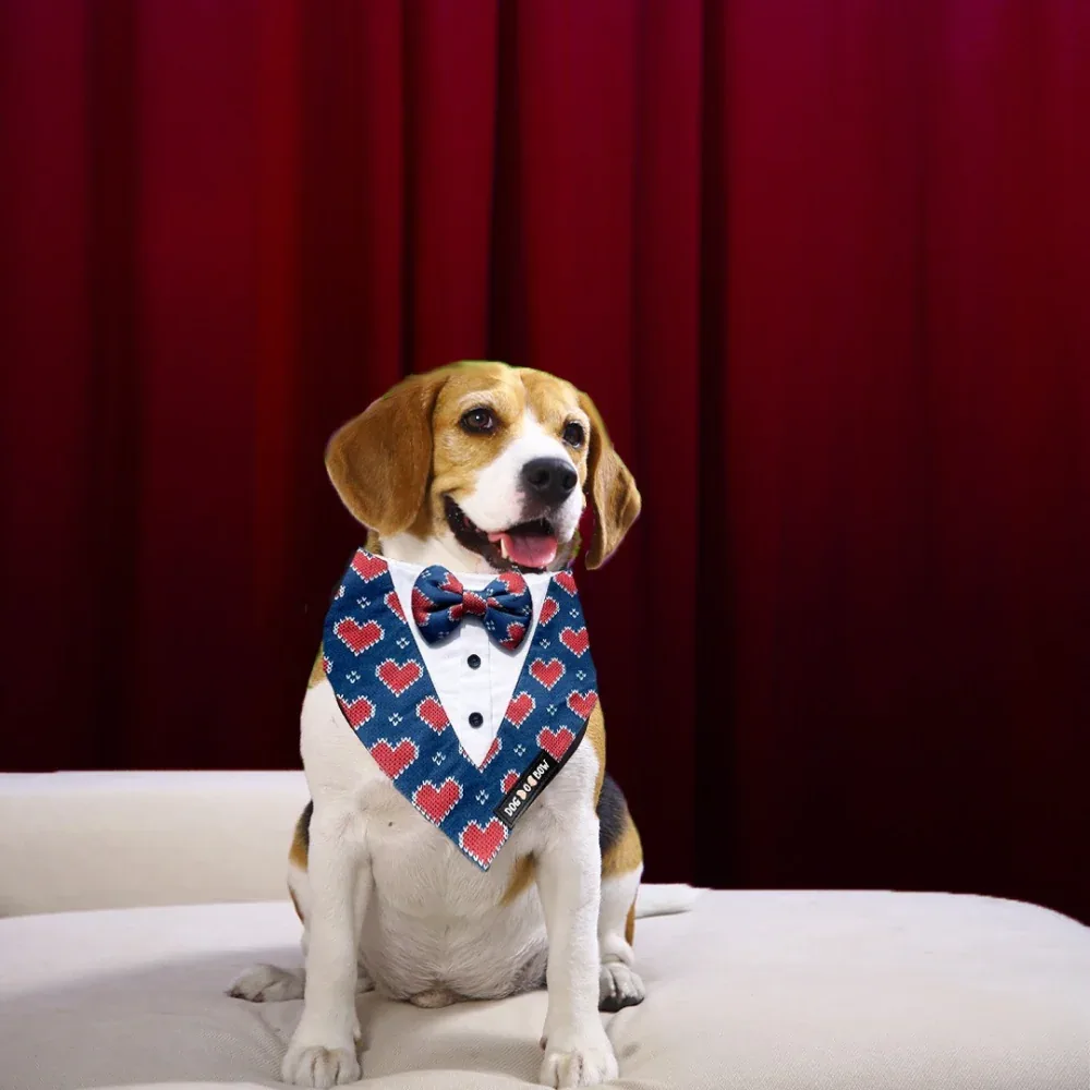 Dogobow Hearty Print Tuxedo Bandana for Dogs (Blue/Red)