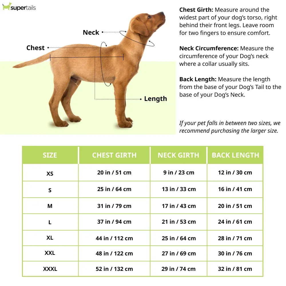 Dogobow Mirror Kurta for Dogs (Yellow) - Image 2