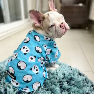 Dogobow Panda Print Shirt for Dogs (Blue/White)