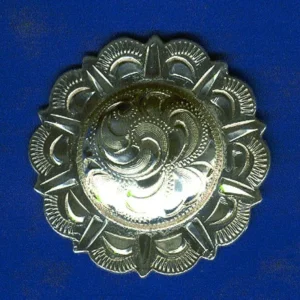 Domed Scalloped Concha With Screw Back 1 Br