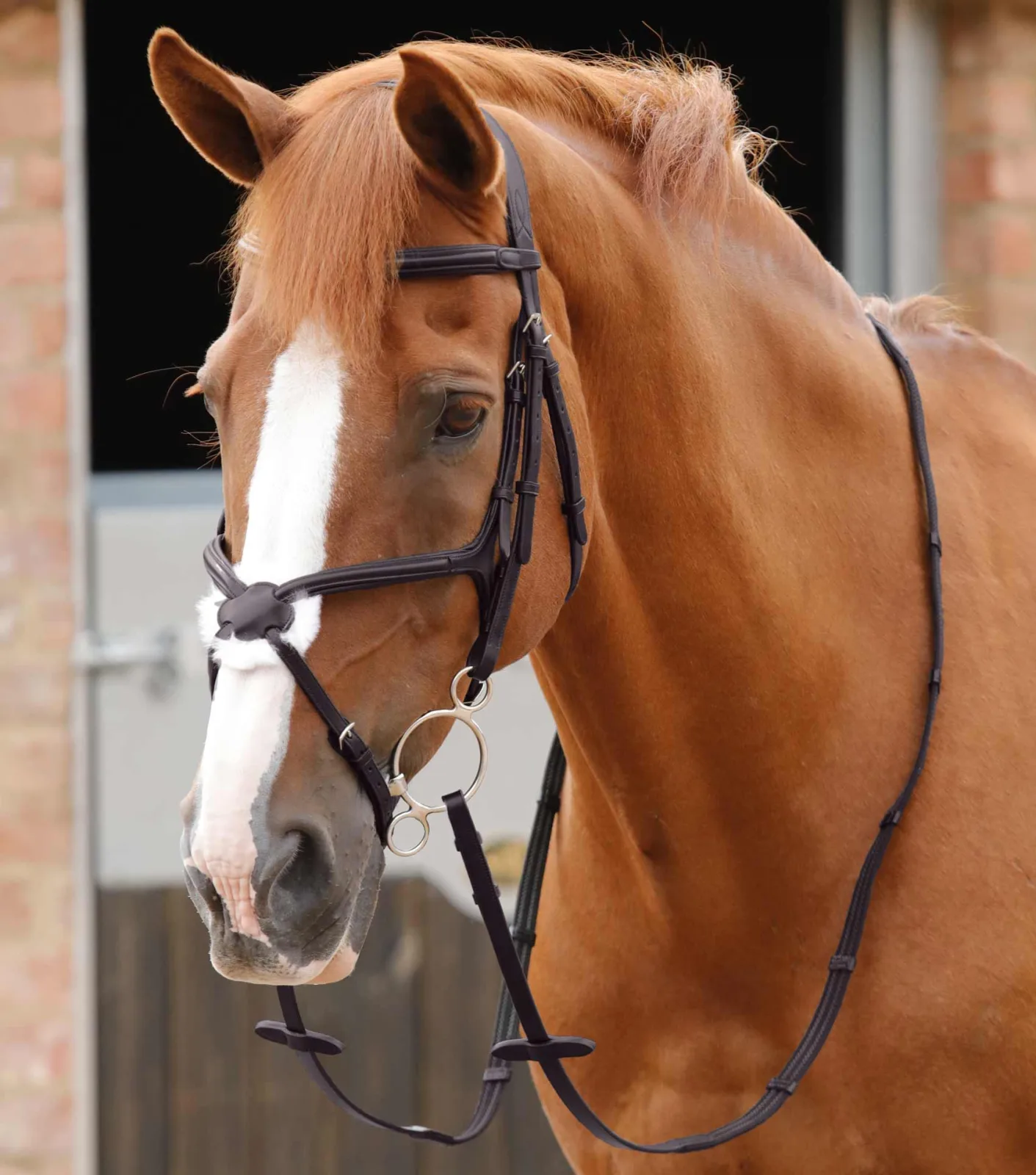 Domenico Web & Rubber Grip Reins Brown - Image 2