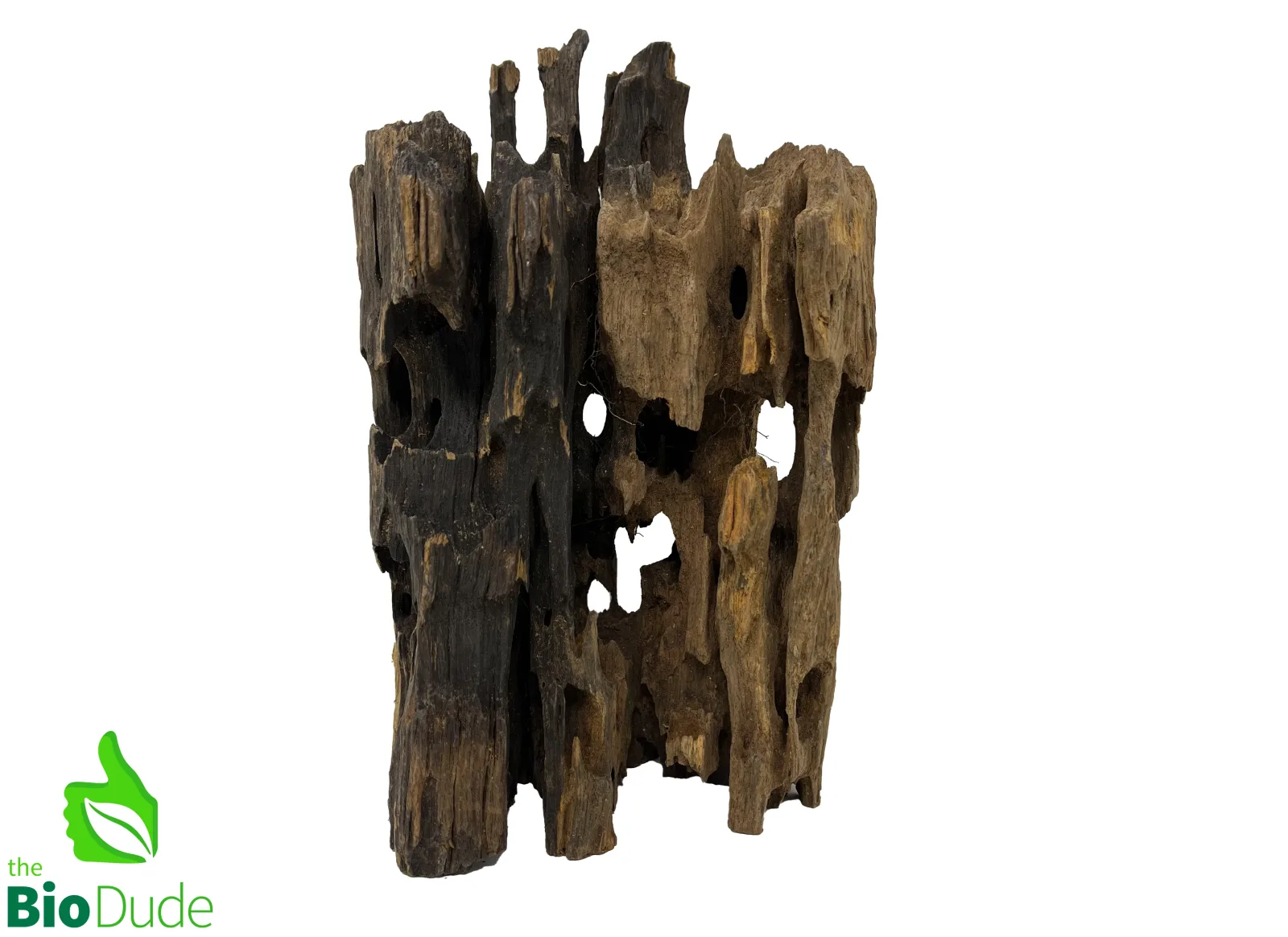 Dragon Driftwood - Image 2