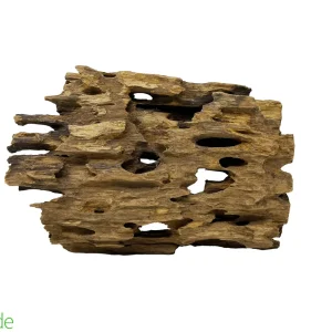 Dragon Driftwood