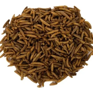 Dried CalciGrubs