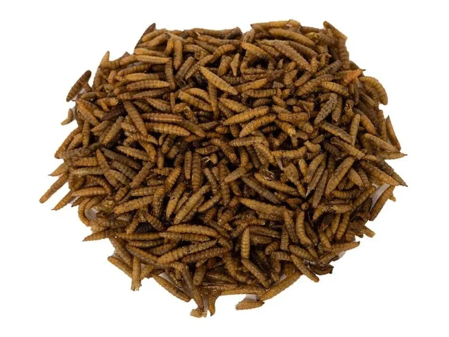 Dried CalciGrubs