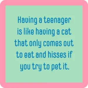 Drinks On Me Teenager Cat Coaster